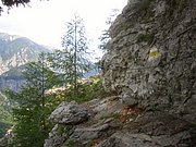 CIMG5557.JPG