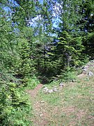 CIMG5584.JPG