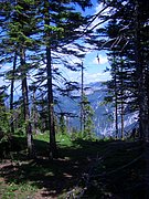 CIMG5588.JPG
