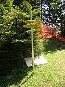 CIMG5590.JPG