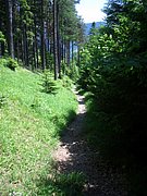 CIMG5617.JPG