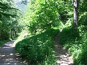 CIMG5619.JPG