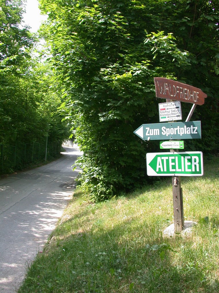 DSCN5608.JPG