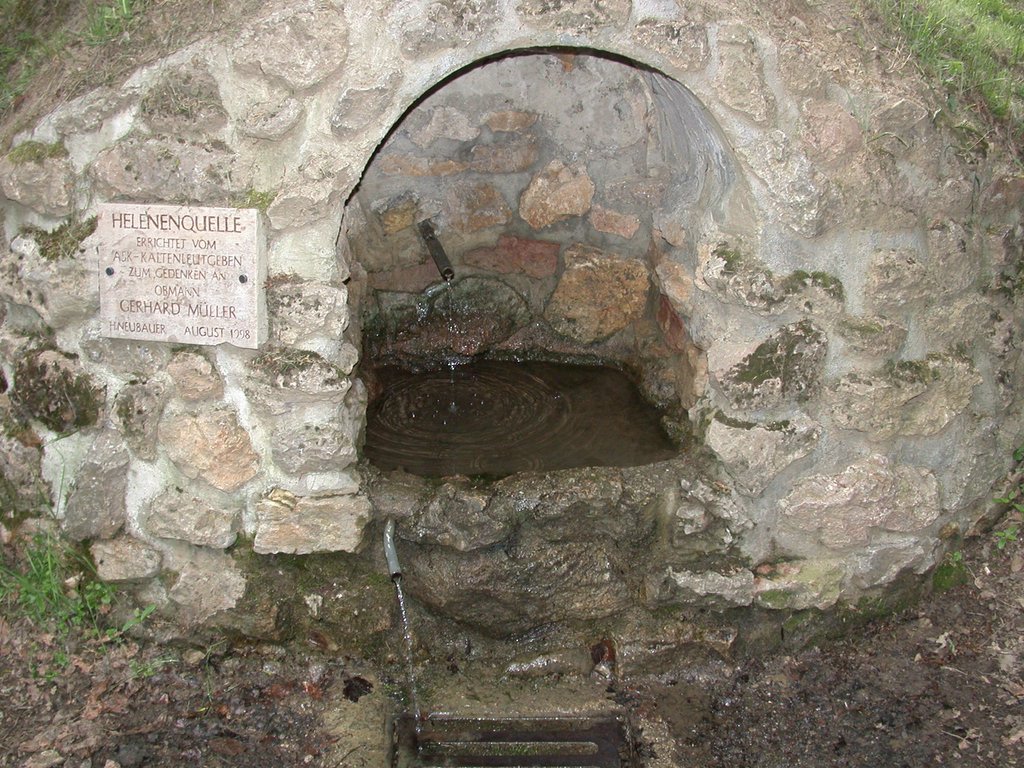 DSCN5610.JPG