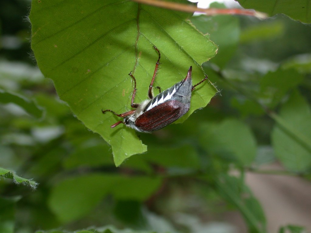 DSCN5611.JPG