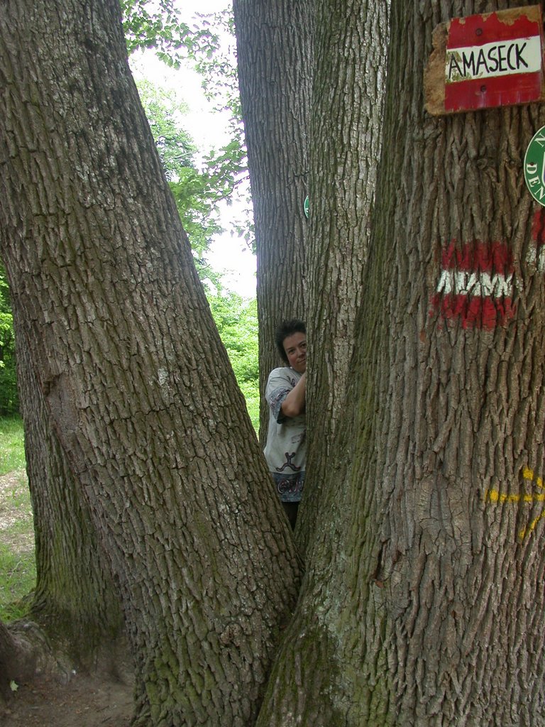 DSCN5612.JPG