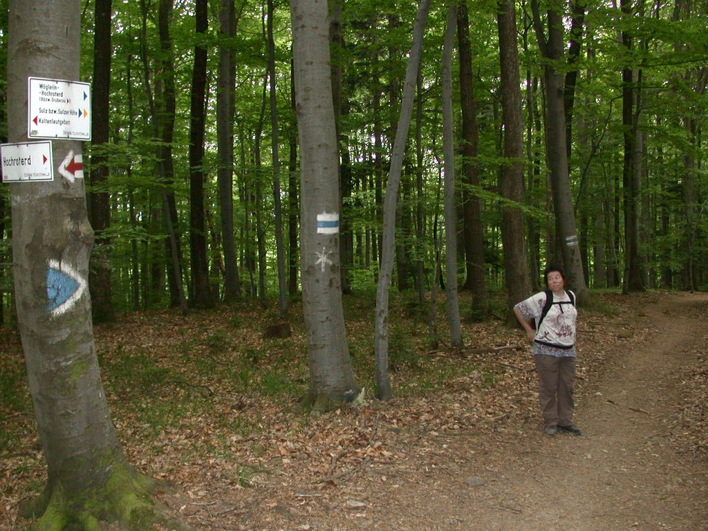 DSCN5627.JPG