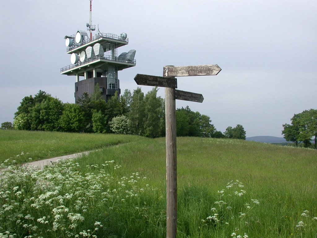 DSCN5630.JPG