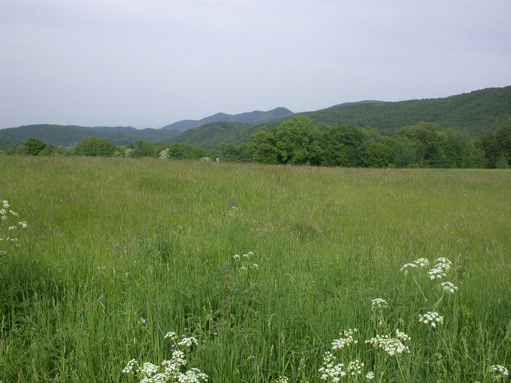 DSCN5631.JPG
