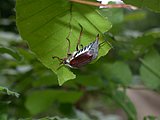 DSCN5611.JPG