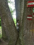DSCN5612.JPG