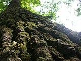 DSCN5620.JPG