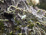 DSCN5626.JPG