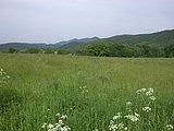 DSCN5631.JPG