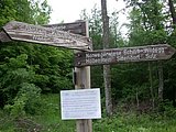 DSCN5641.JPG