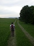 DSCN5643.JPG