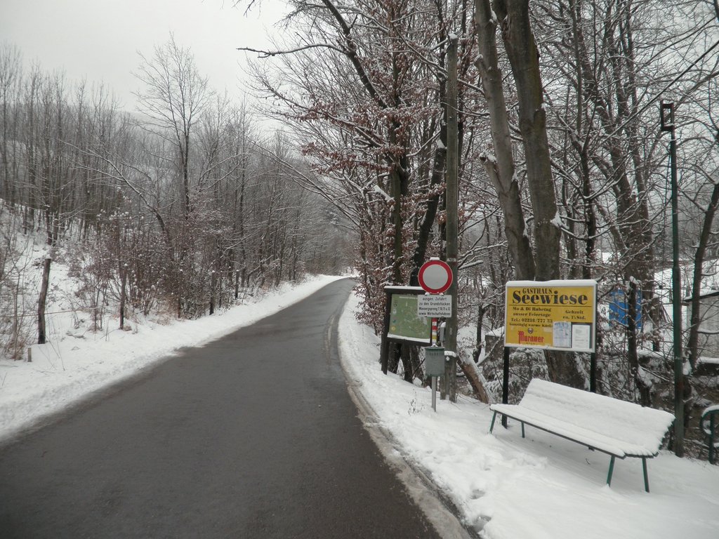 P1060002.JPG