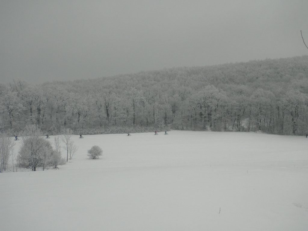 P1060010.JPG