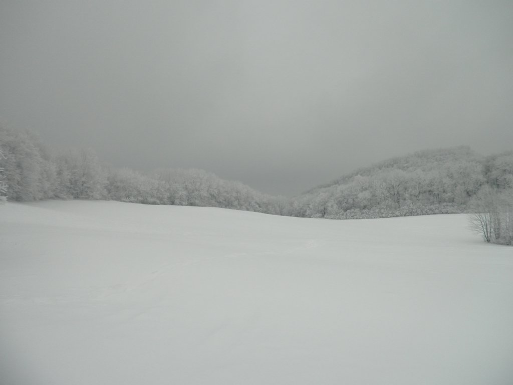 P1060011.JPG