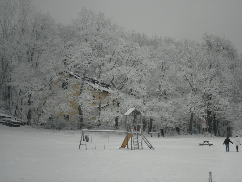 P1060014.JPG