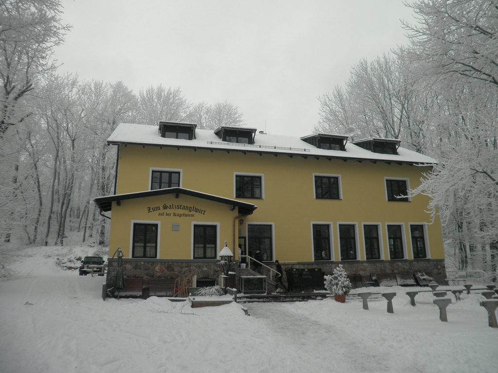 P1060015.JPG