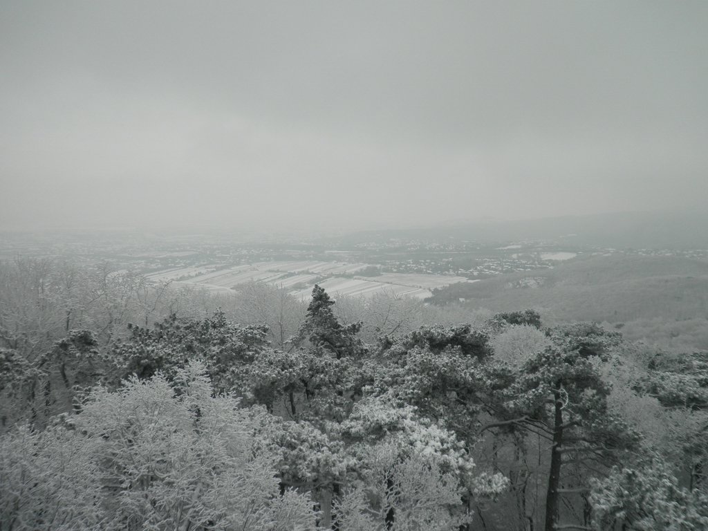 P1060022.JPG