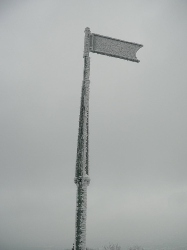 P1060025.JPG