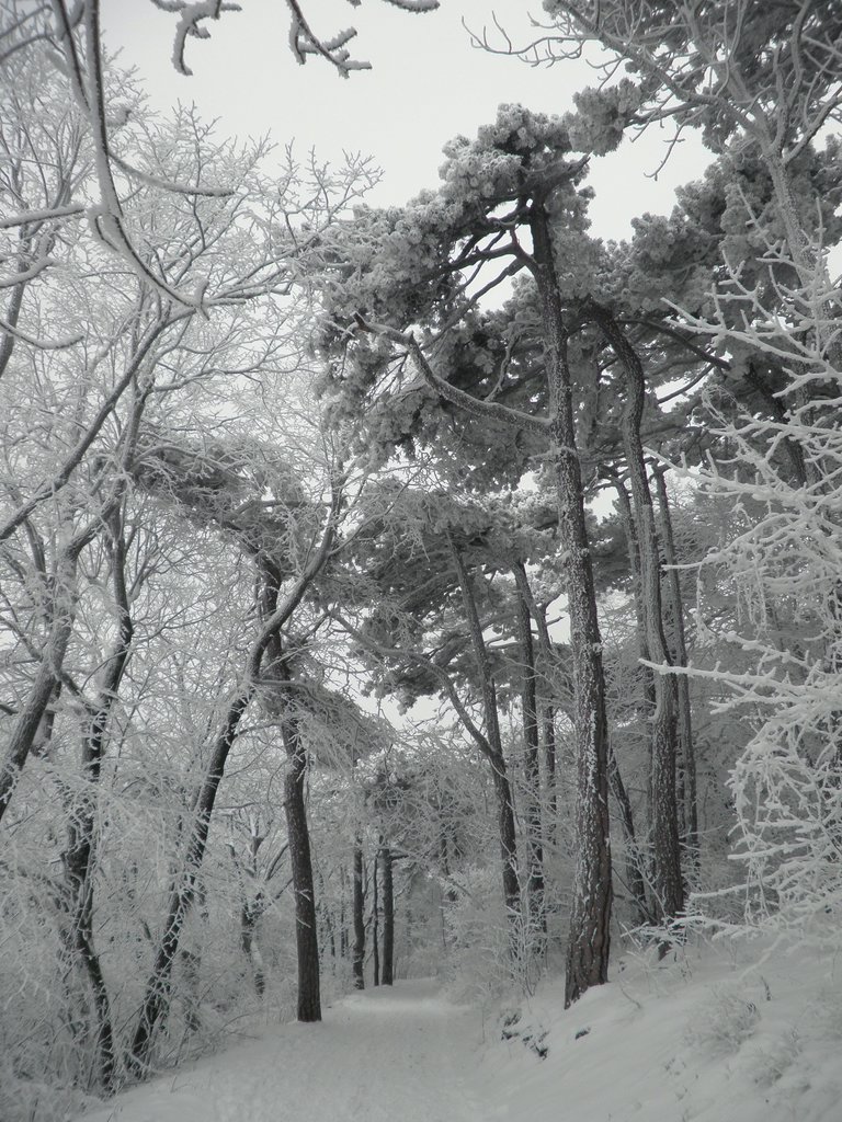 P1060027.JPG