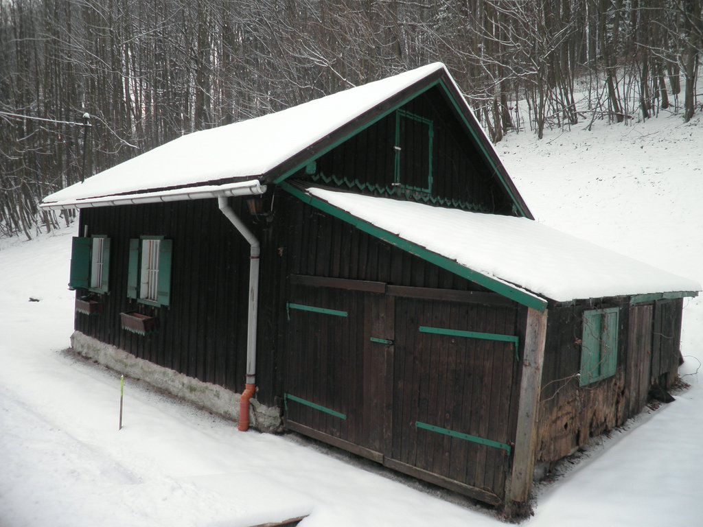 P1060028.JPG