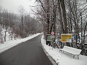 P1060002.JPG