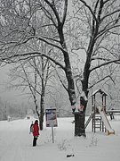 P1060008.JPG