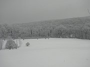 P1060010.JPG