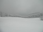 P1060011.JPG