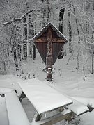P1060012.JPG