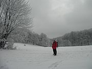 P1060013.JPG