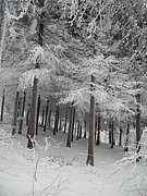 P1060016.JPG