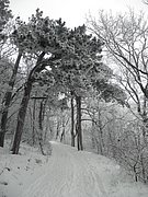 P1060017.JPG