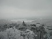 P1060022.JPG