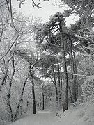 P1060027.JPG