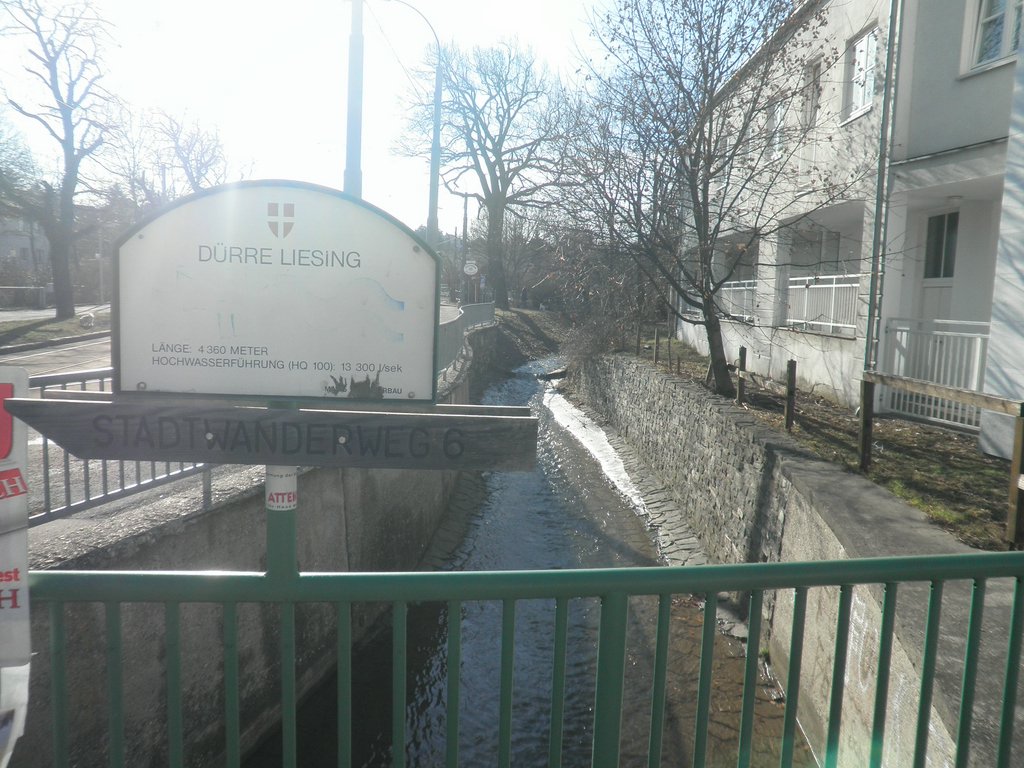 P2060003.JPG