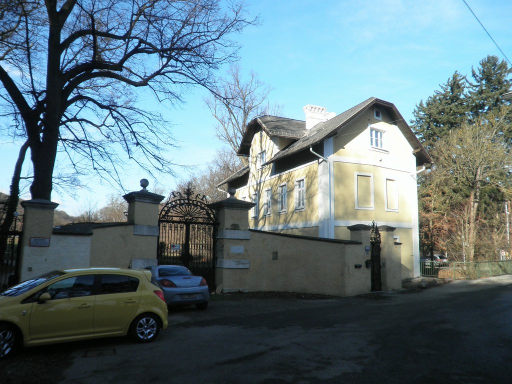 P2060004.JPG
