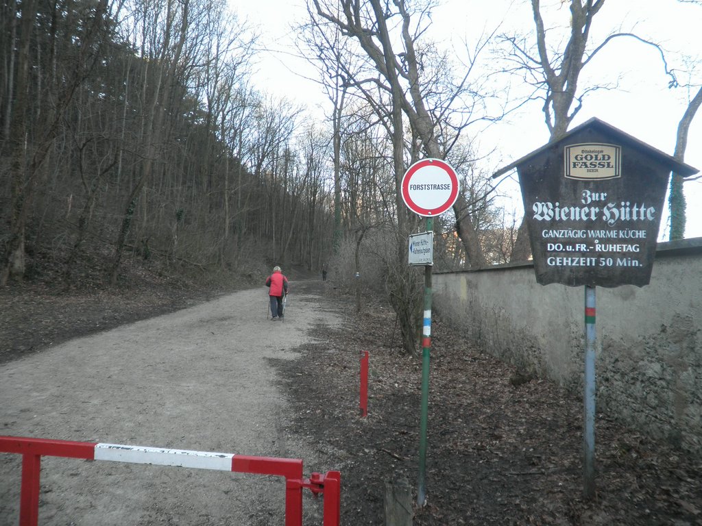 P2060005.JPG
