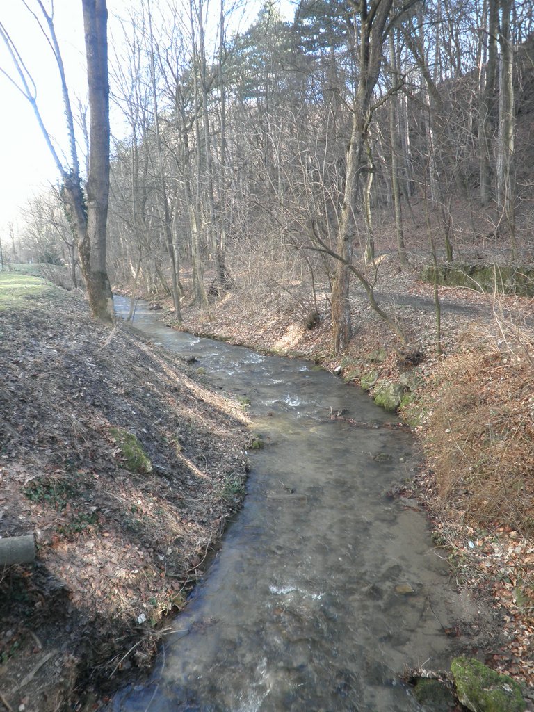 P2060014.JPG