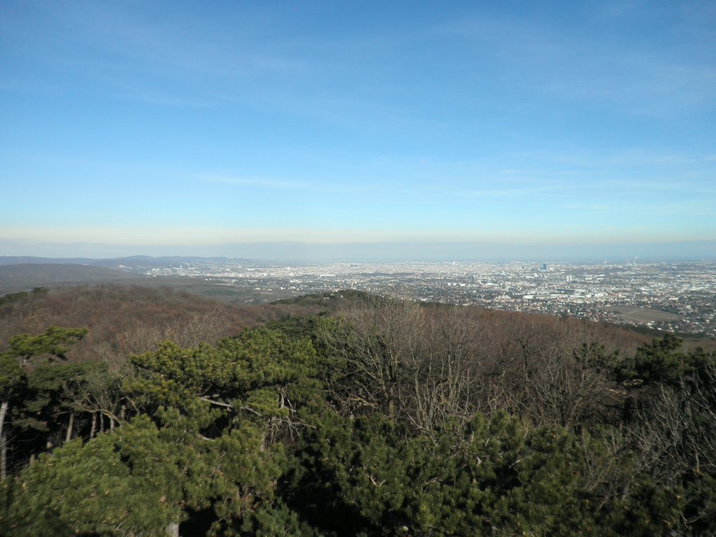 P2060023.JPG