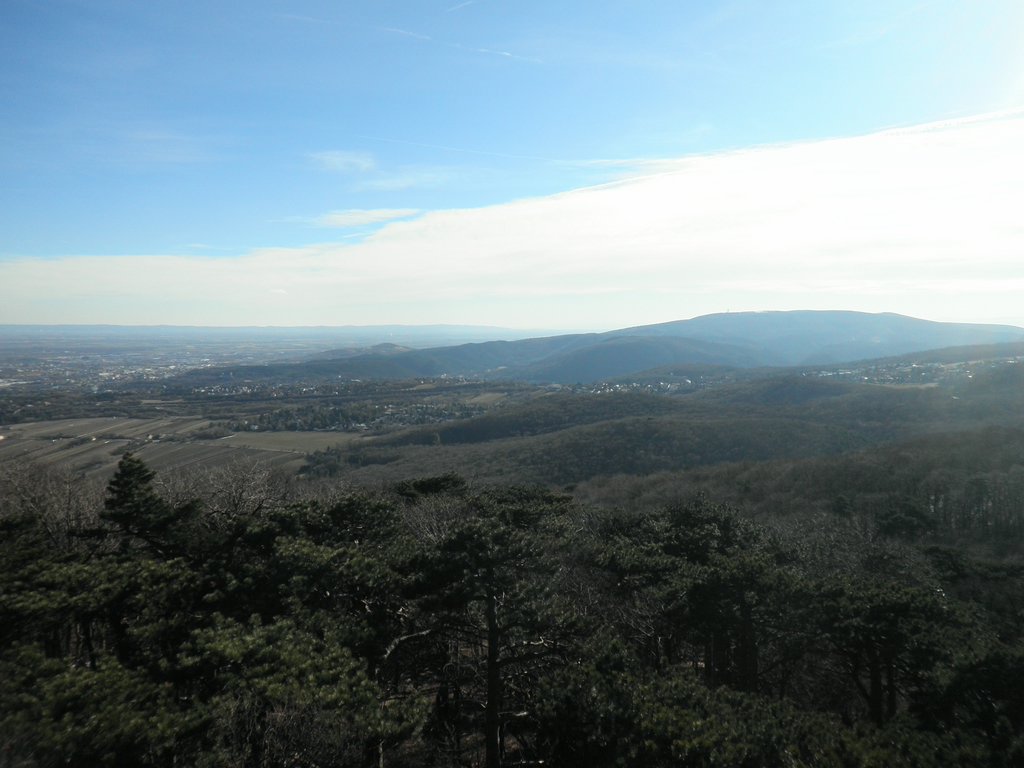 P2060025.JPG
