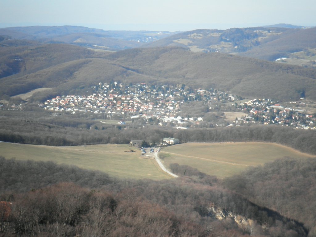 P2060031.JPG