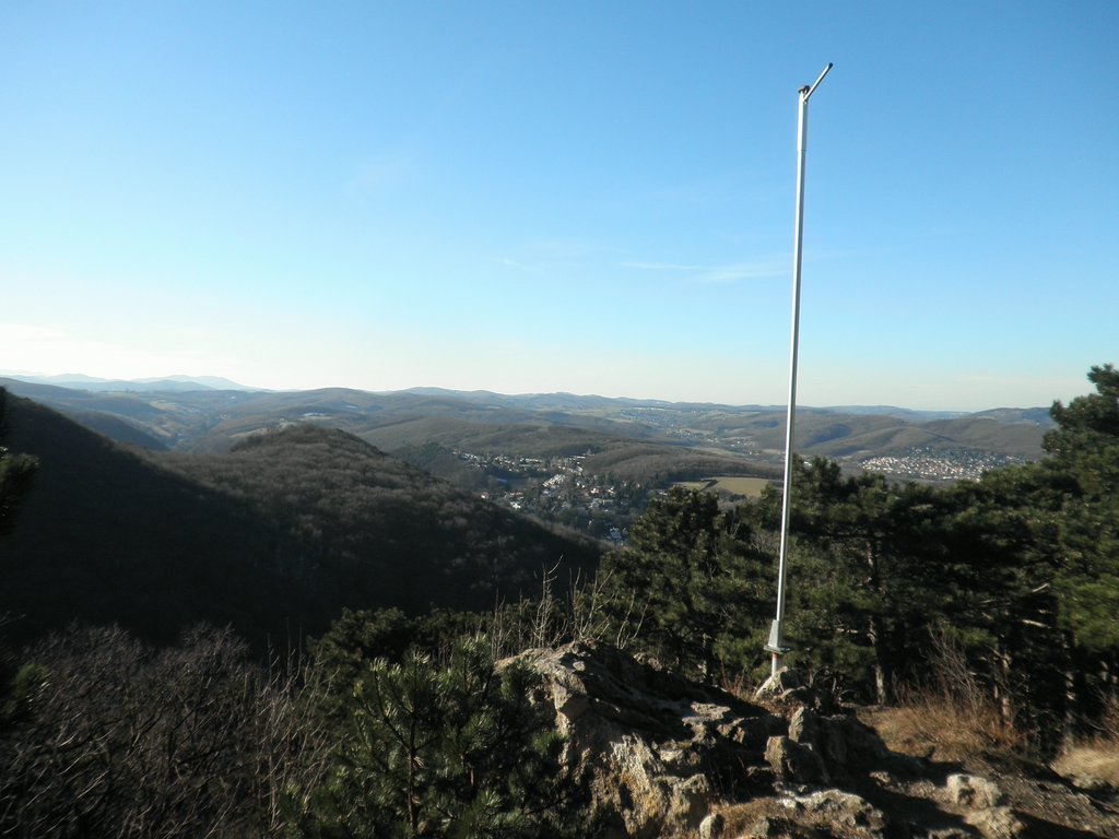 P2060040.JPG