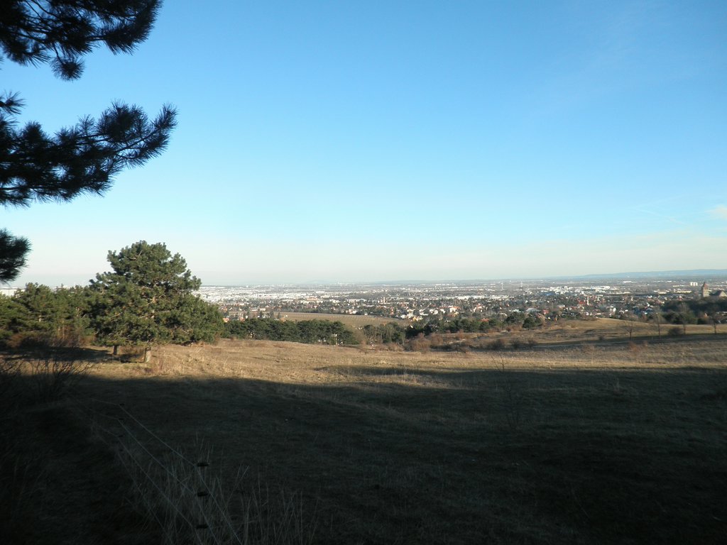 P2060053.JPG