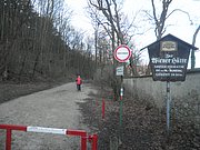 P2060005.JPG