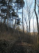 P2060006.JPG